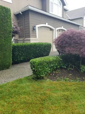 Trusted garden landscaping in Everett, WA - Viscapes HD