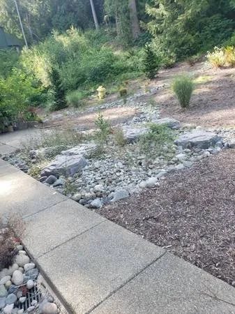 Expert landscape design in Everett, WA - Viscapes HD