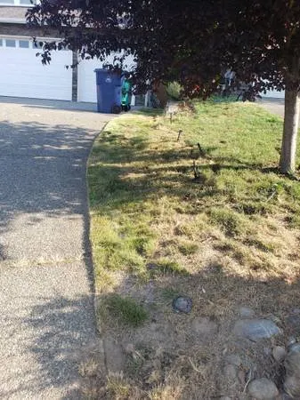 Professional outdoor landscaping with custom design in Everett, WA by Viscapes HD