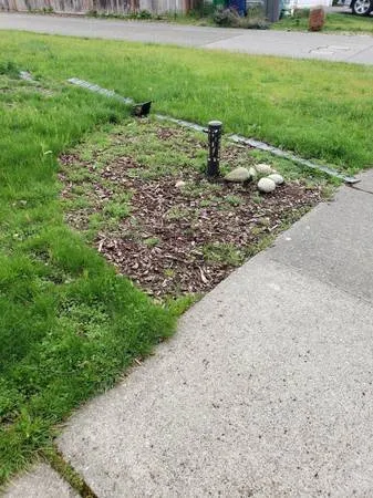 Local outdoor landscaping for beautiful yards across Everett, WA - Viscapes HD