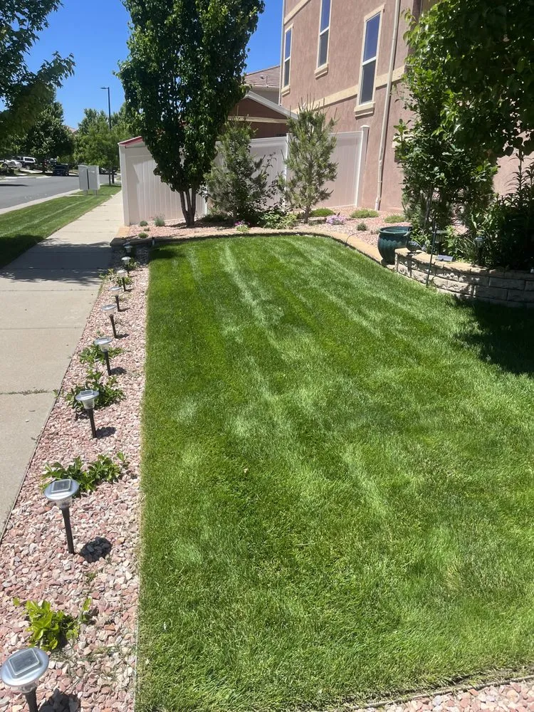 Affordable yard cleanup service for outdoor upgrades across Thornton, CO - Viselac Lawn Service