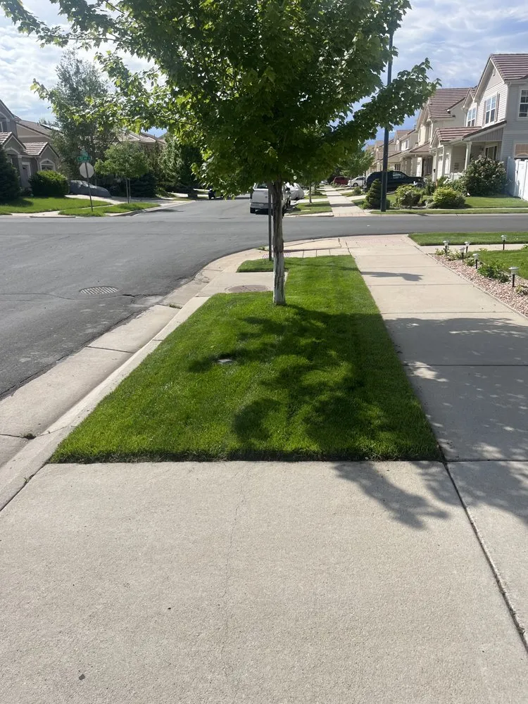 Affordable outdoor landscaping in Thornton, CO - Viselac Lawn Service