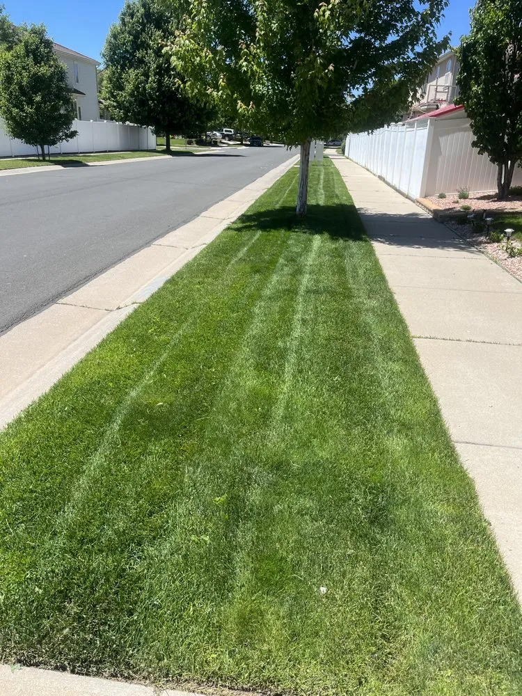 Reliable outdoor landscaping in Thornton, CO - Viselac Lawn Service