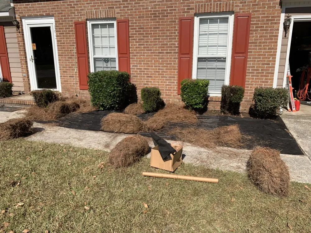 Trusted yard maintenance for outdoor upgrades in North Charleston, SC by Vision 3 Landscaping