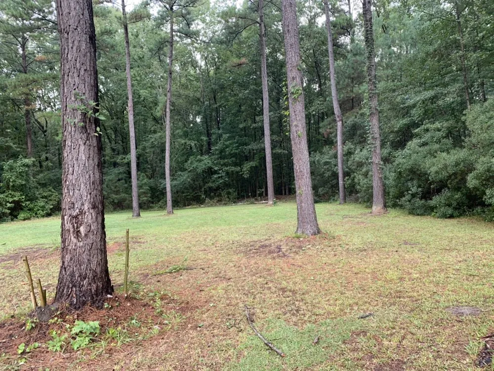 Reliable outdoor landscaping with custom design in North Charleston, SC by Vision 3 Landscaping