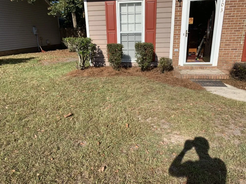 Reliable landscape design in North Charleston, SC - Vision 3 Landscaping