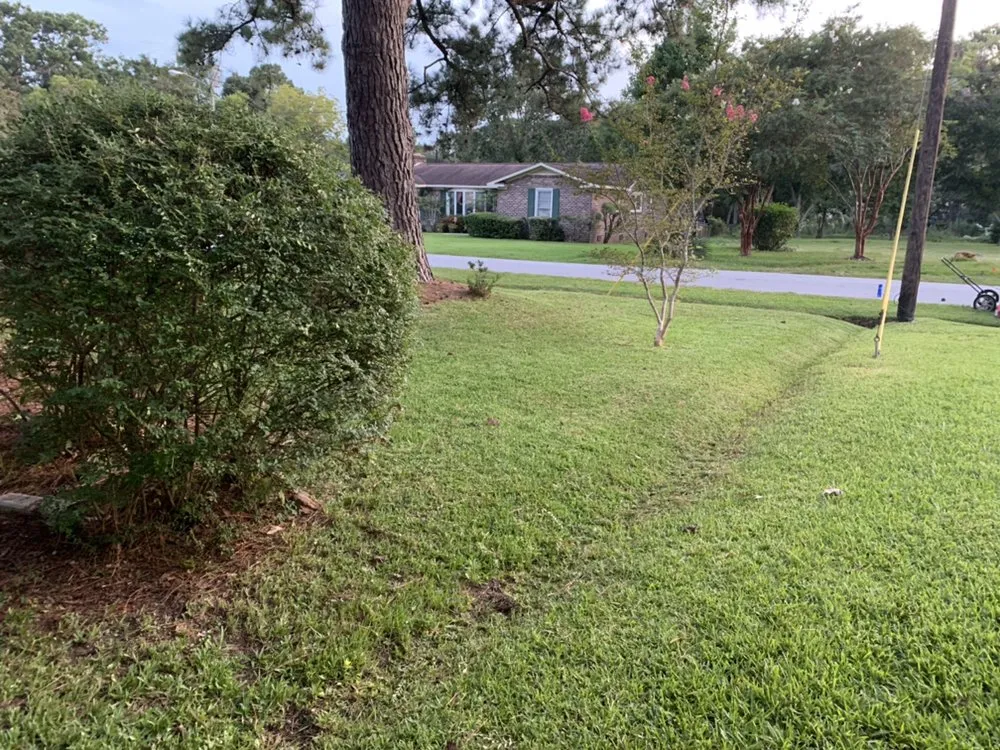 Custom residential landscaping in North Charleston, SC by Vision 3 Landscaping