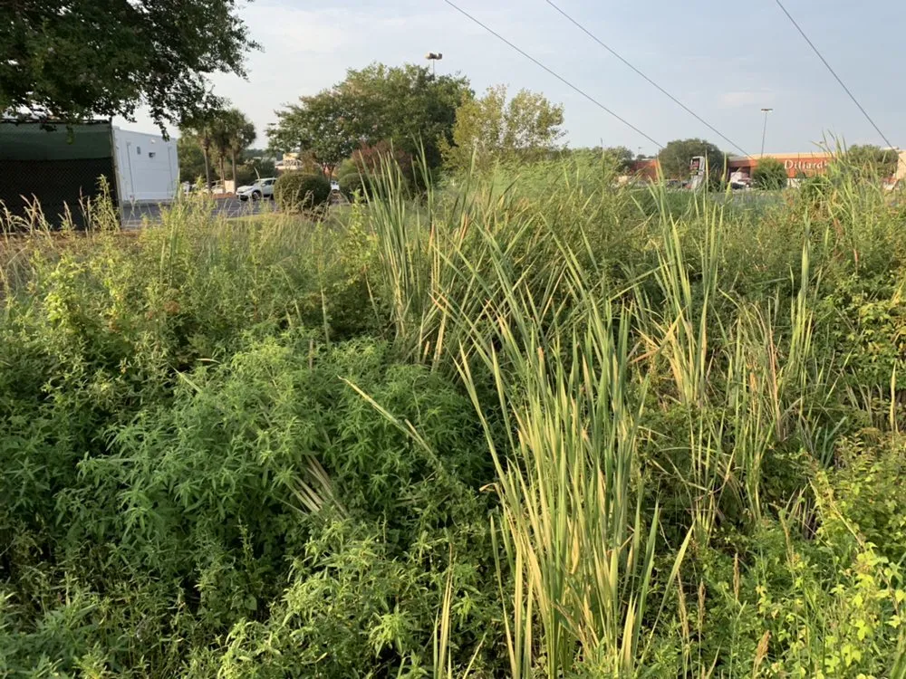 Trusted landscape design for year-round maintenance in North Charleston, SC by Vision 3 Landscaping