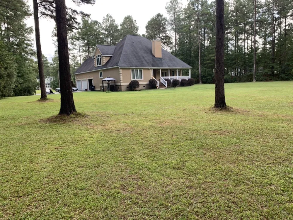 Top-rated landscaping services for beautiful yards across North Charleston, SC - Vision 3 Landscaping