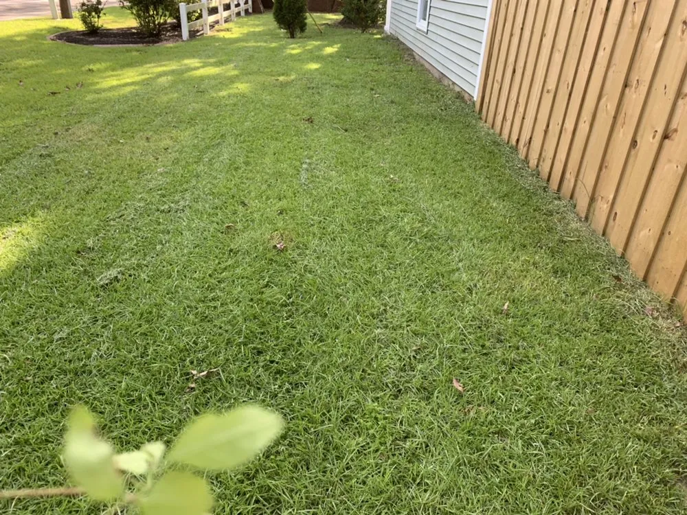 Top-rated yard maintenance for outdoor upgrades in North Charleston, SC by Vision 3 Landscaping