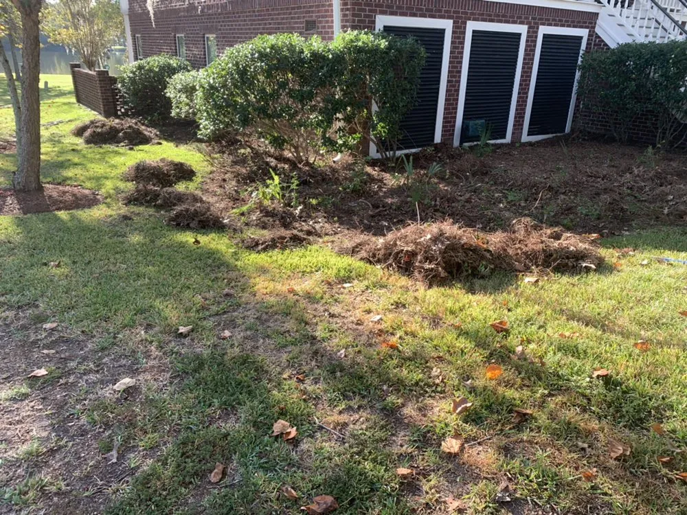 Local yard maintenance for outdoor upgrades across North Charleston, SC - Vision 3 Landscaping