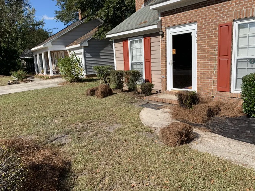 Trusted yard cleanup service in North Charleston, SC by Vision 3 Landscaping