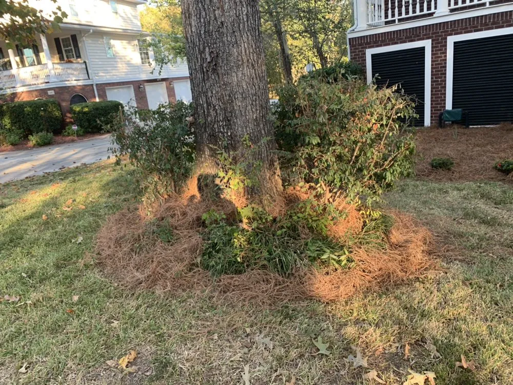Affordable outdoor landscaping in North Charleston, SC - Vision 3 Landscaping