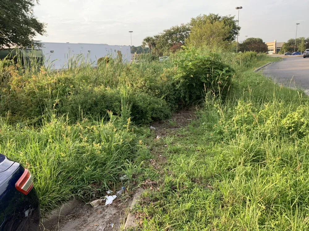 Affordable lawn mowing service for outdoor upgrades across North Charleston, SC - Vision 3 Landscaping