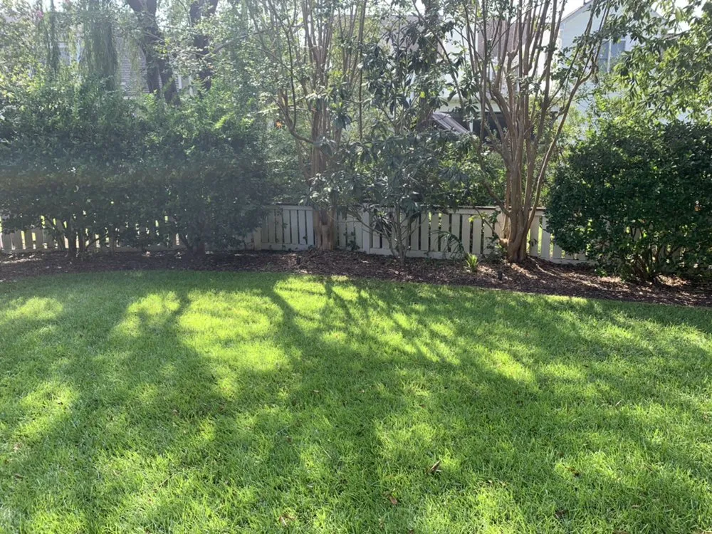 Professional lawn care service in North Charleston, SC - Vision 3 Landscaping