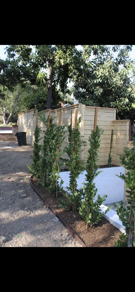 Affordable yard cleanup service for residential properties across La Puente, CA - Vision Brothers Construction