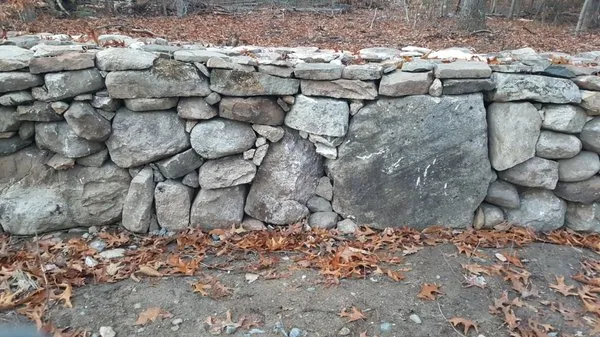 Vision Comun Landscaping Logo