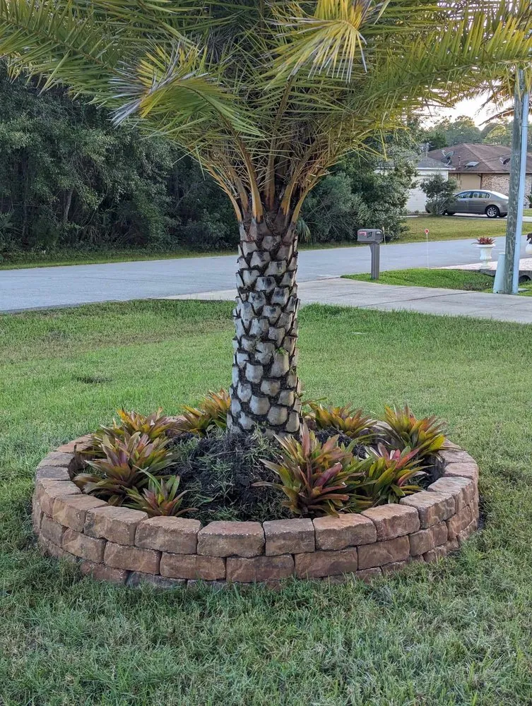 Affordable lawn care service for year-round maintenance across Palm Coast, FL - Vision Construction