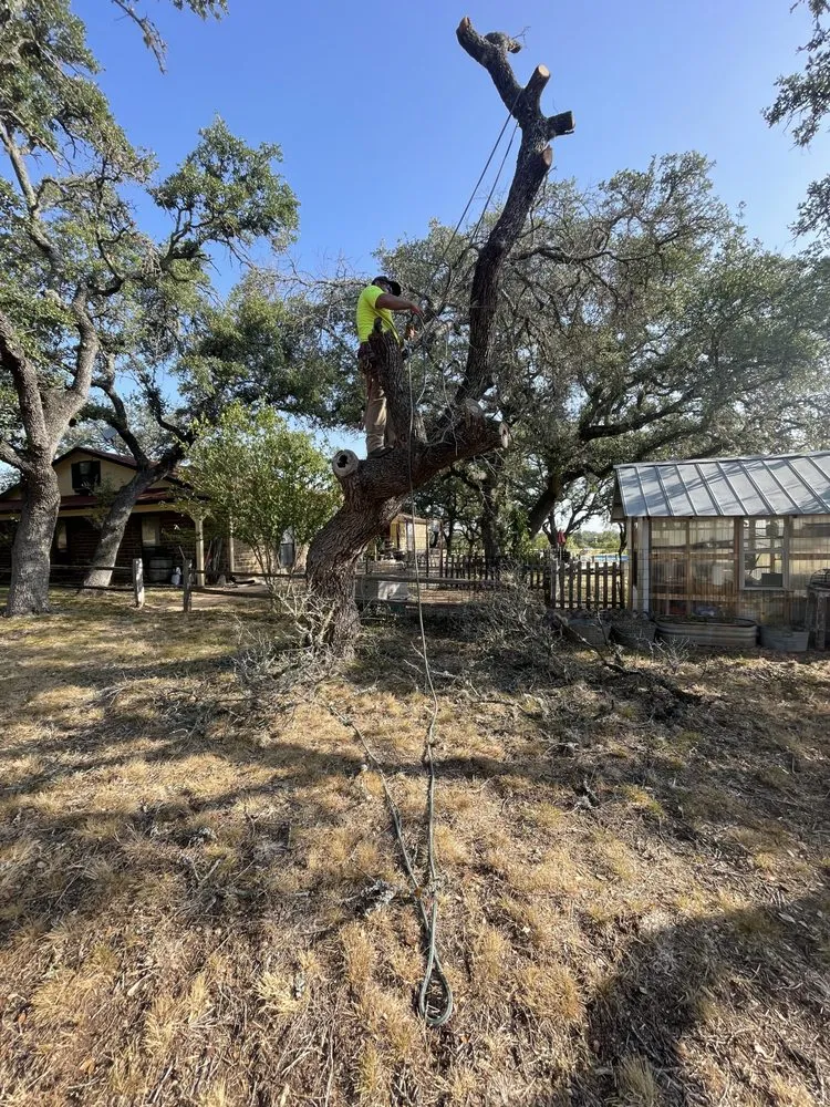 Expert landscaping services for year-round maintenance in Kingsland, TX by Vision Green Land Care