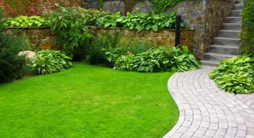 Top-rated residential landscaping in Charlotte, NC by Vision Green Landscape