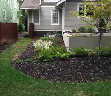 Top-rated landscaping services experts serving Charlotte, NC - Vision Green Landscape