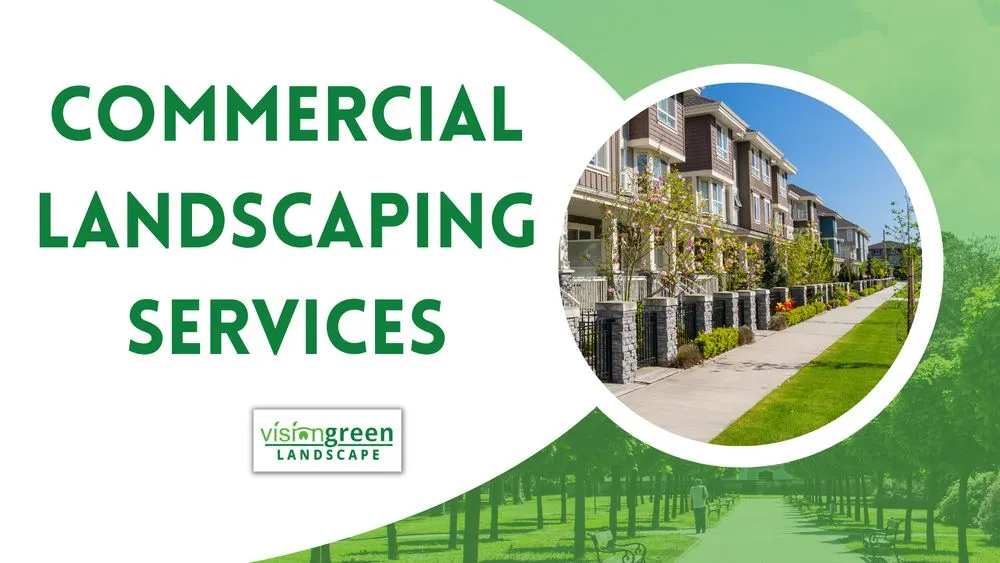 Professional yard cleanup service experts serving Charlotte, NC - Vision Green Landscape