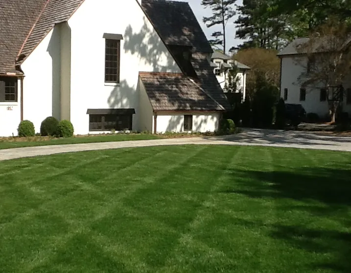 Trusted lawn care service experts serving Charlotte, NC - Vision Green Landscape