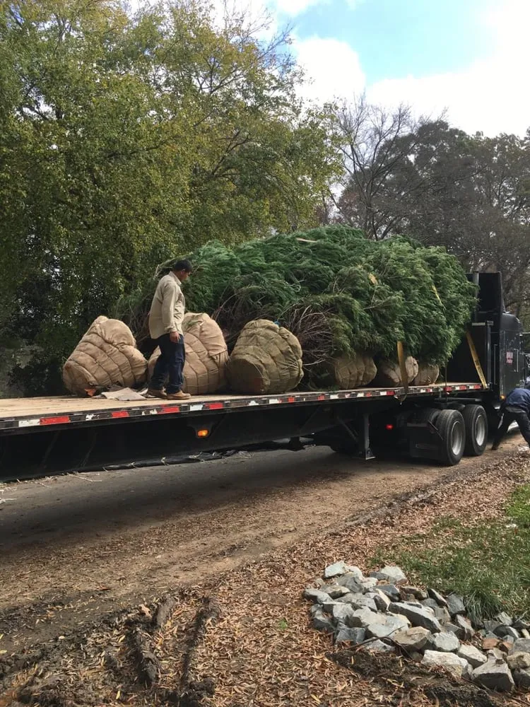 Professional residential landscaping in Charlotte, NC by Vision Green Landscape