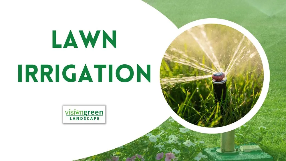 Trusted lawn care service in Charlotte, NC - Vision Green Landscape