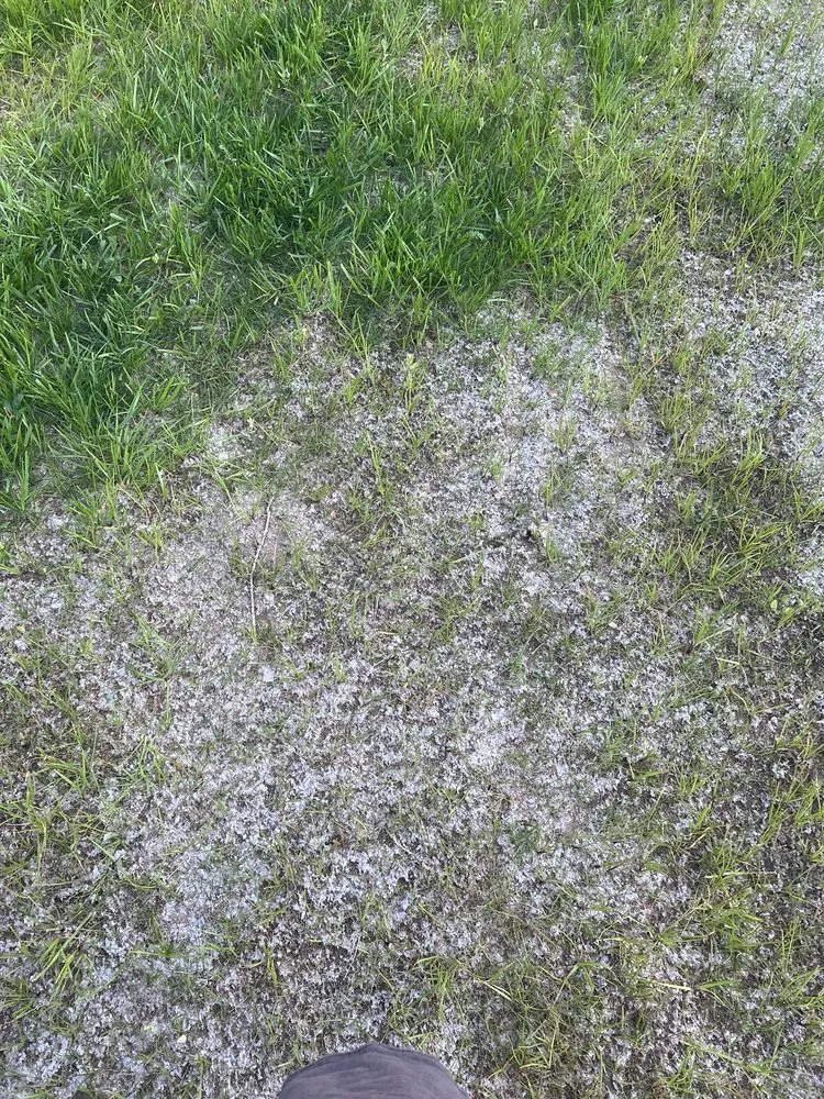 Trusted landscaping services in Post Falls, ID - Vision Hydroseeding