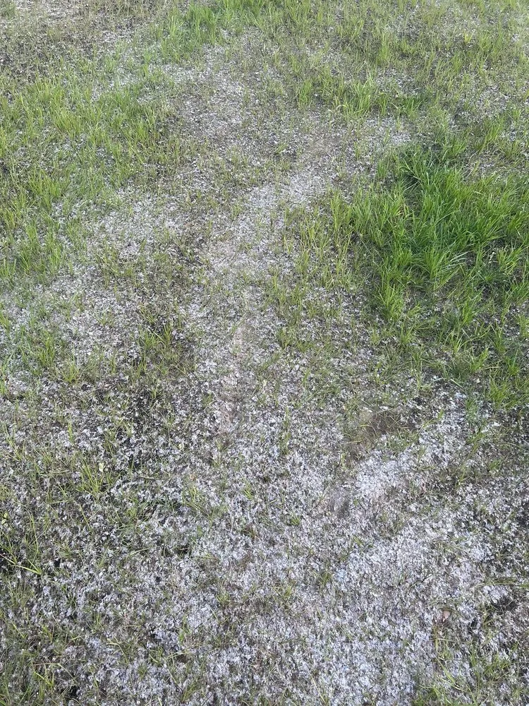 Affordable garden landscaping in Post Falls, ID by Vision Hydroseeding