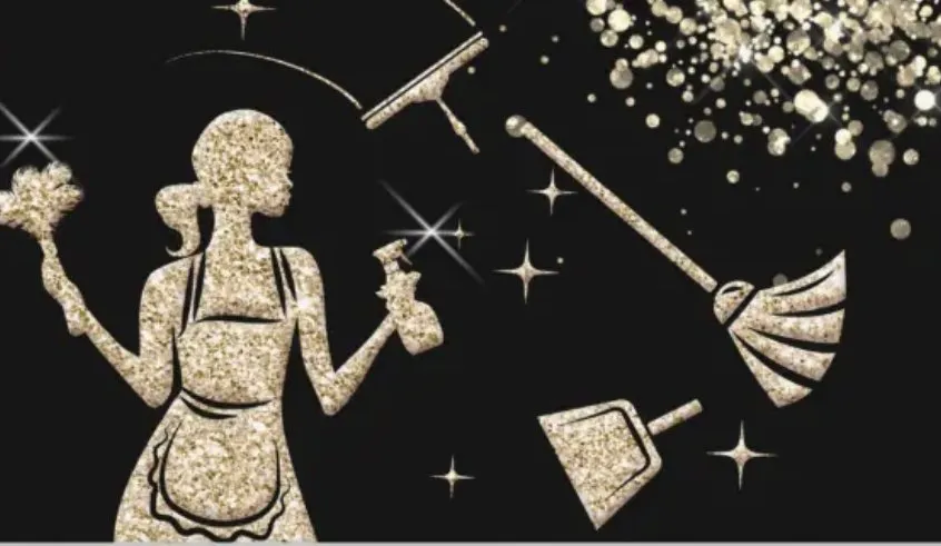 Affordable landscaping services in Houston, TX by Vision In Joppa Cleaning Service