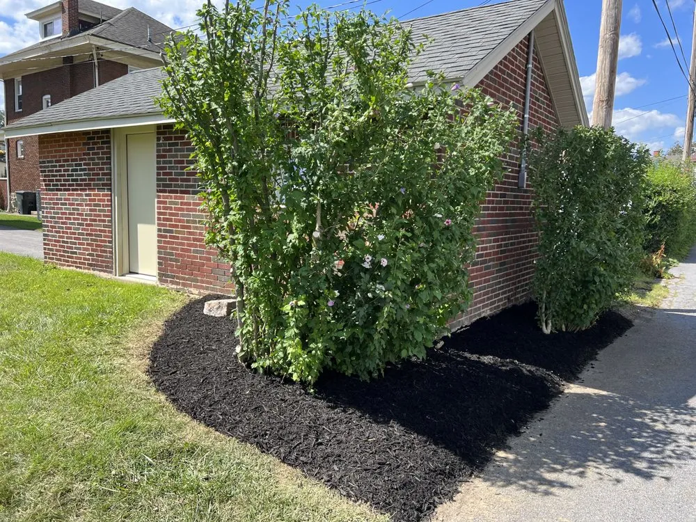 Top-rated lawn care service in Altoona, PA - Vision Landscapes