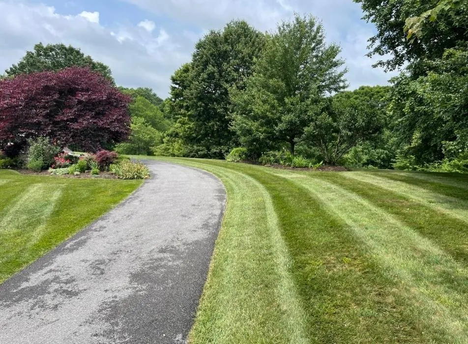 Affordable landscape installation for outdoor upgrades in Bluefield, WV by Vision Landscapes