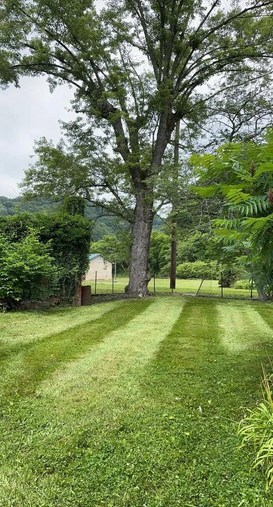 Expert lawn mowing service experts serving Bluefield, WV - Vision Landscapes