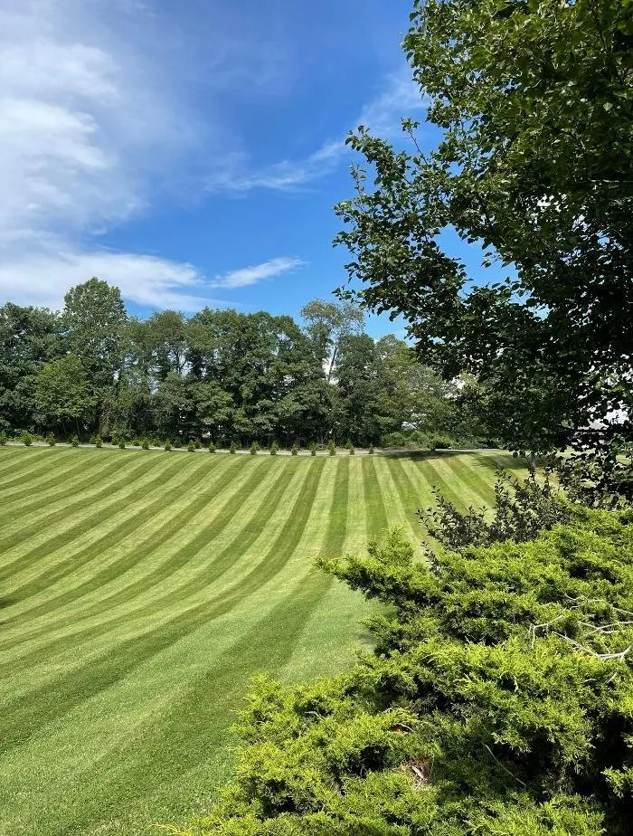 Reliable lawn mowing service in Bluefield, WV by Vision Landscapes
