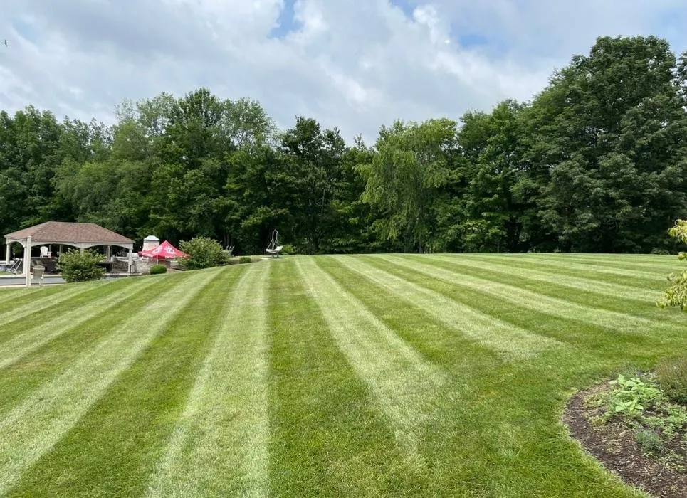 Affordable lawn mowing service in Bluefield, WV by Vision Landscapes