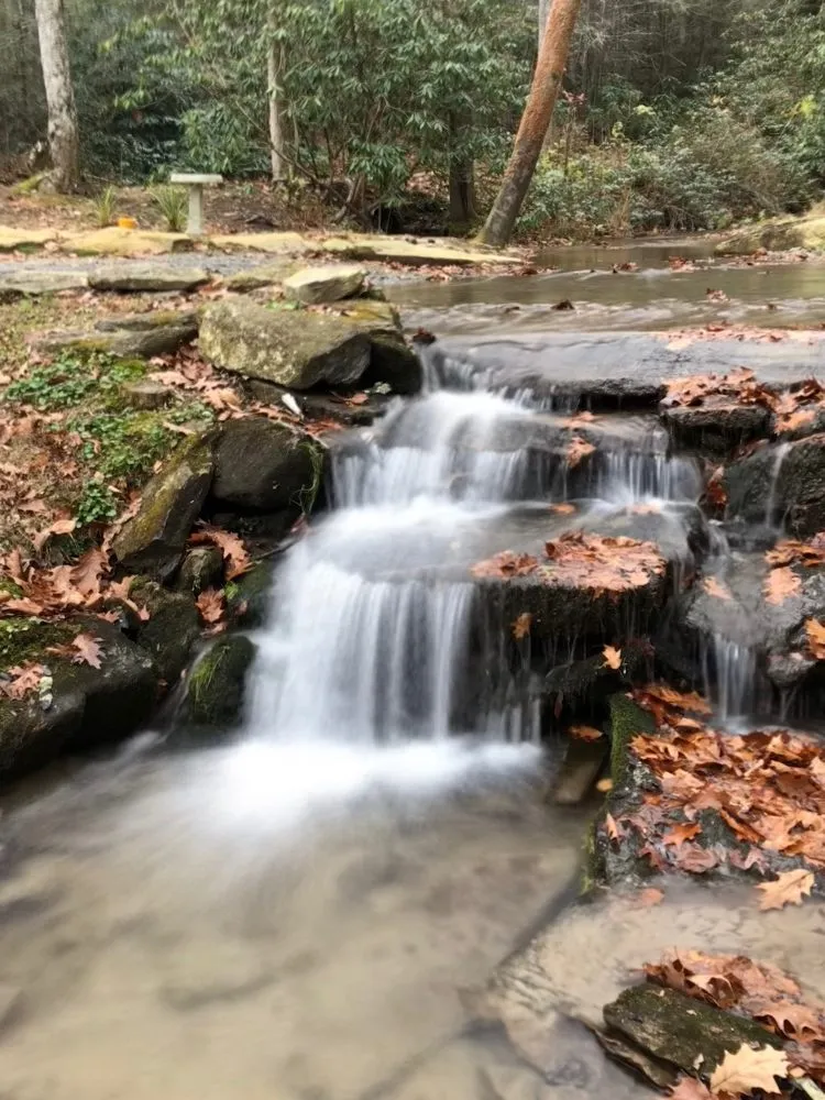 Expert yard cleanup service experts serving Hendersonville, NC - Vision Landscapes