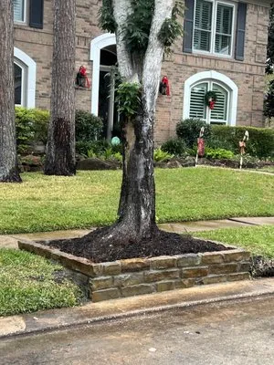 Vision Landscaping & Lawncare Logo