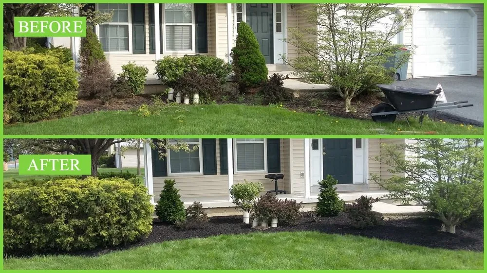Professional yard maintenance experts serving Northampton, PA - Vision Landscaping & Lawncare