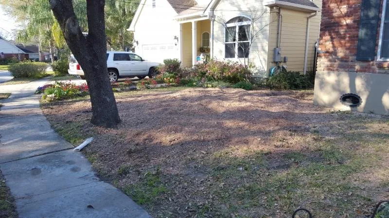 Reliable landscaping services for homes in Northampton, PA by Vision Landscaping & Lawncare