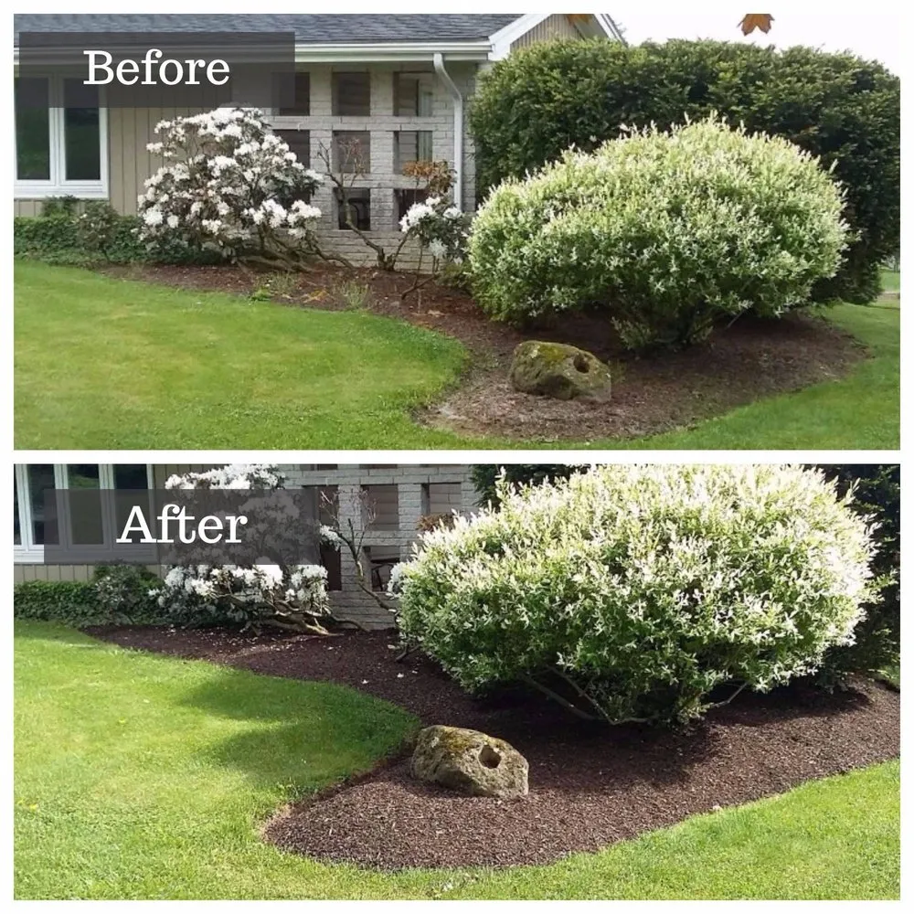 Top-rated lawn care service for outdoor upgrades in Northampton, PA by Vision Landscaping & Lawncare