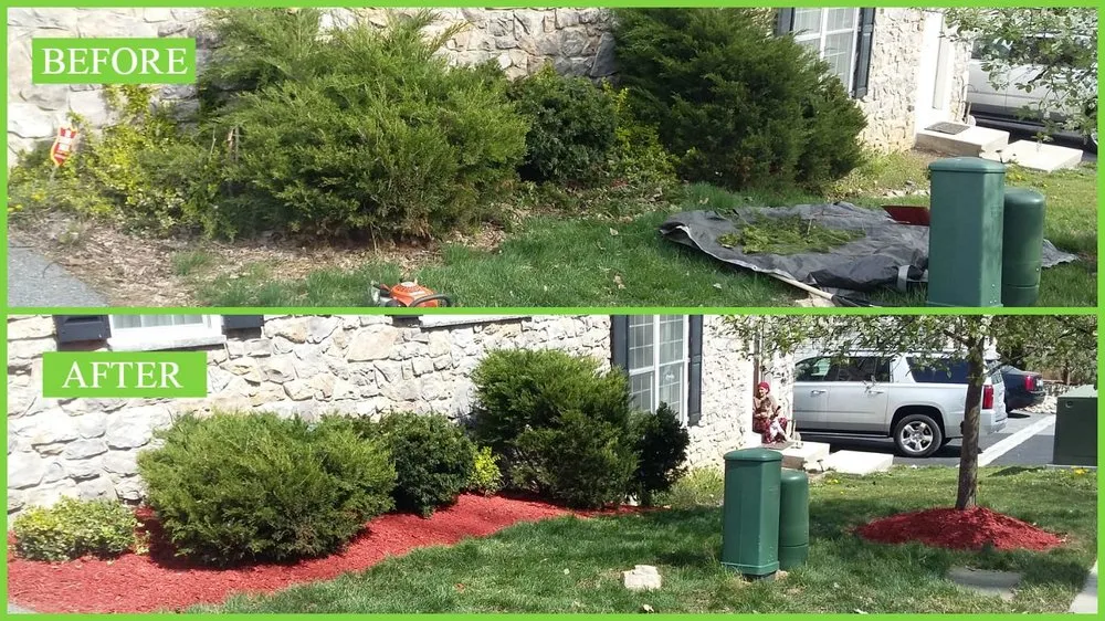 Local yard cleanup service in Northampton, PA by Vision Landscaping & Lawncare