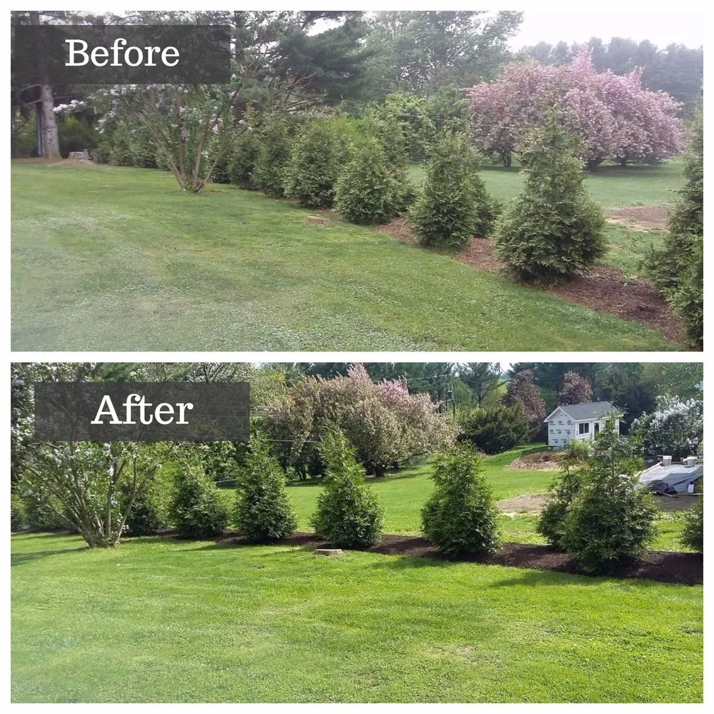 Expert lawn care service in Northampton, PA - Vision Landscaping & Lawncare