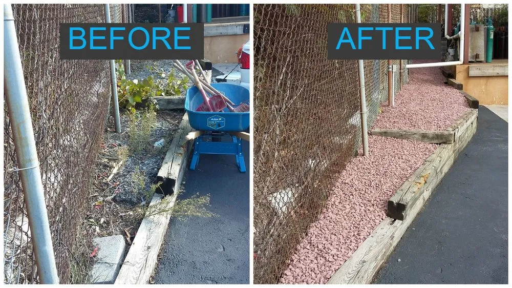 Reliable yard cleanup service for year-round maintenance across Northampton, PA - Vision Landscaping & Lawncare