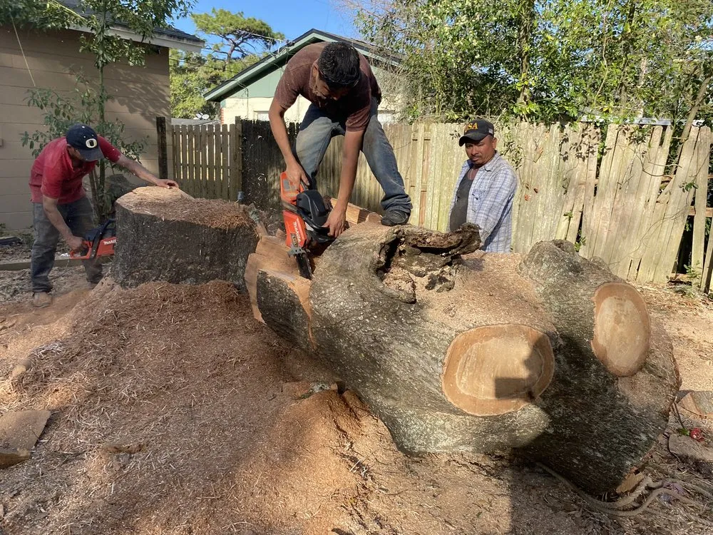 Custom outdoor landscaping experts serving Boston, MA - Vision Landscaping & Tree Service