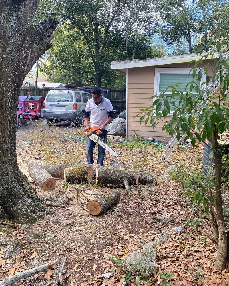 Affordable garden landscaping for year-round maintenance in Boston, MA by Vision Landscaping & Tree Service