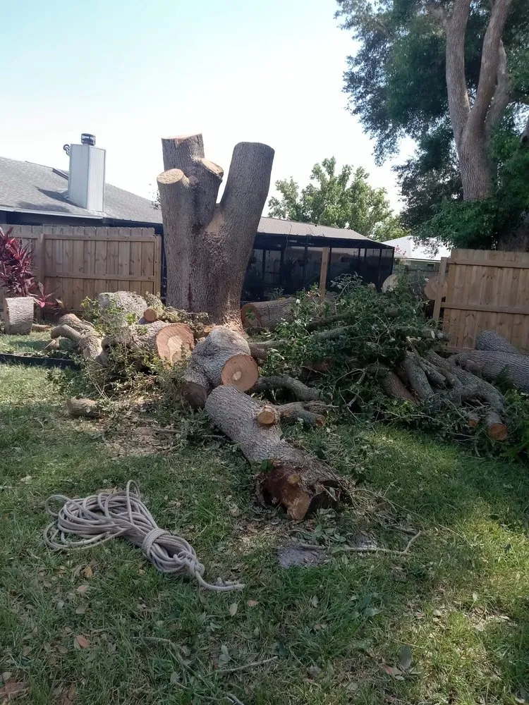 Trusted residential landscaping in Boston, MA - Vision Landscaping & Tree Service