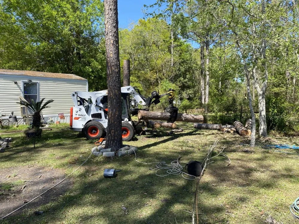 Top-rated residential landscaping experts serving Boston, MA - Vision Landscaping & Tree Service