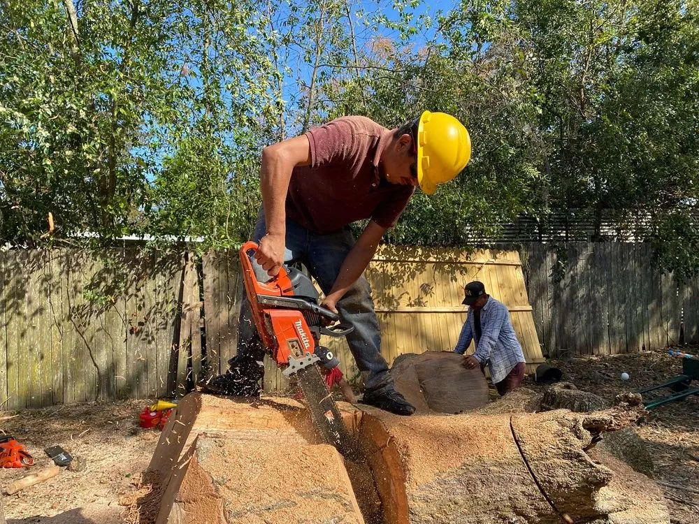 Custom lawn mowing service for year-round maintenance across Boston, MA - Vision Landscaping & Tree Service